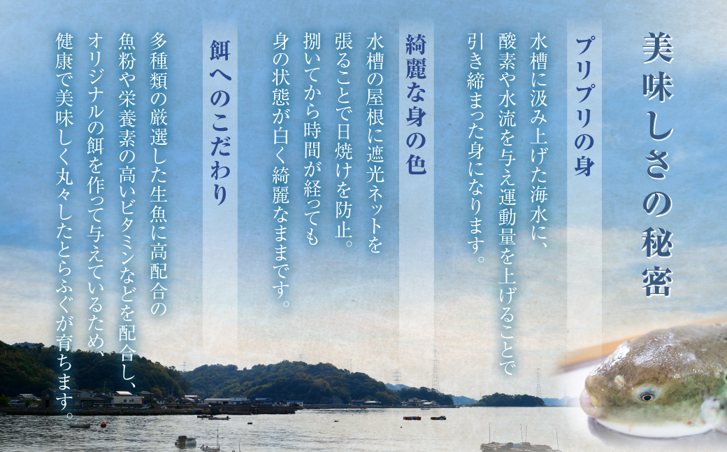 〈お一人様用〉とらふぐフルコース 吉宝ふぐ『焼きひれ/特製ポン酢/もみじおろし付き』