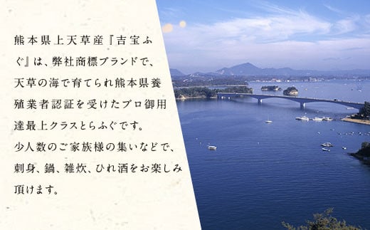 【2023年10月下旬から発送開始】 吉宝 ふぐ 身欠き 1.3kg