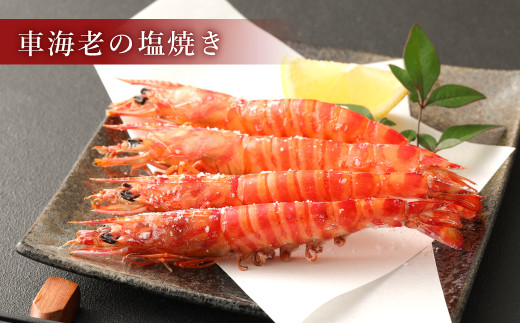 【3ヶ月定期便】原点の車海老「急速冷凍」250g（8～10尾）1パック 合計750g 車海老 車えび くるまえび 急速冷凍 新鮮 お刺身 天ぷら 塩焼き 熊本県産