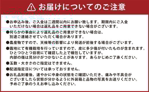 【先行受付】 有機JAS 新玉ねぎ 5kg