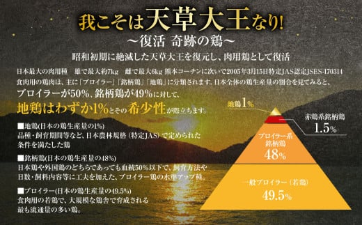 天草大王精肉セット（モモ、ムネ、ササミ） 約1.5kg×2セット 計約3kg 天草大王 モモ ムネ ササミ