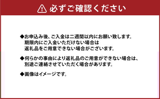 パール柑 約5kg 訳あり