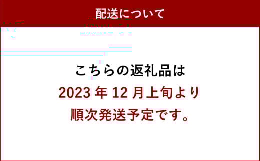 特別栽培みかん　10kg サイズミックス