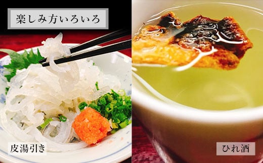 国産養殖！とらふぐ簡単調理で味わえるセット 吉宝ふぐ 1.3kg ふぐ 河豚 フグ とらふぐ トラフグ 簡単調理 刺身 鍋 から揚げ ひれ酒 出汁 3～4人前 熊本県 上天草市 【2025年10月下旬から2026年4月上旬発送開始】