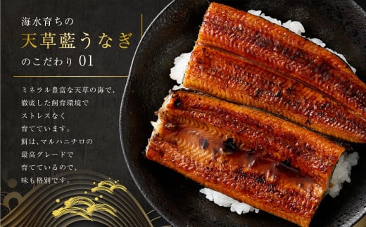 【数量限定】 【訳あり】 【ミシュラン星付きのプロが愛用】海水育ちの 天草 藍うなぎ 小ぶり 蒲焼 1kg（7～10尾） 養殖期間中 無投薬 鰻 ウナギ うなぎ うなぎ蒲焼 鰻の蒲焼 国産