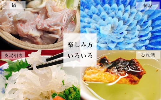 【3ヶ月定期便】国産養殖！とらふぐ簡単調理で味わえるセット 吉宝ふぐ 1.3kg×3回 ふぐ 河豚 フグ とらふぐ トラフグ 鍋 ふぐ鍋 熊本県 上天草市【2025年10月下旬～2026年4月上旬発送予定】