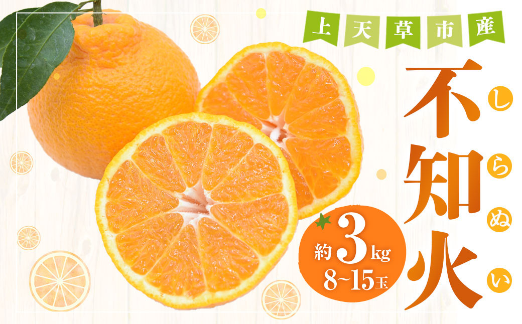 上天草市産 不知火 約3kg