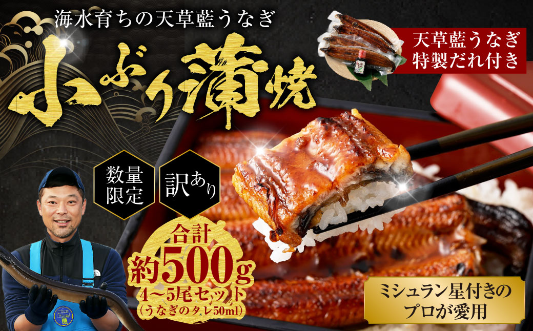 【数量限定】 【訳あり】 【ミシュラン星付きのプロが愛用】海水育ちの 天草 藍うなぎ 小ぶり 蒲焼 500g（4～5尾） 養殖期間中 無投薬 鰻 ウナギ うなぎ うなぎ蒲焼 鰻の蒲焼 国産