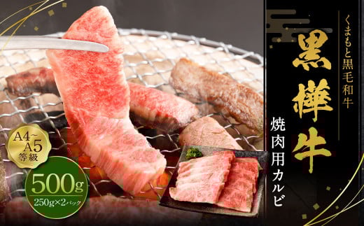 黒樺牛 焼肉用カルビ 500g（250g×2パック）