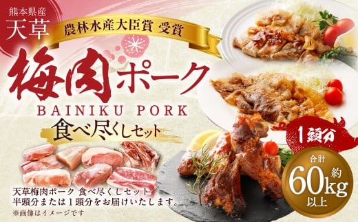【豚1頭分！】完全無薬！梅肉エキス肥育 熊本県産 天草梅肉ポーク 食べ尽くしセット
