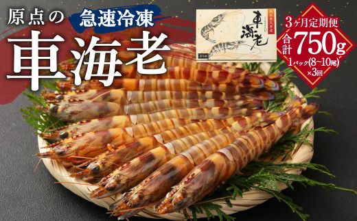 【3ヶ月定期便】原点の車海老「急速冷凍」250g（8～10尾）1パック 合計750g 車海老 車えび くるまえび 急速冷凍 新鮮 お刺身 天ぷら 塩焼き 熊本県産