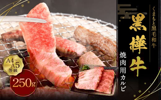 黒樺牛 焼肉用カルビ 250g×1パック