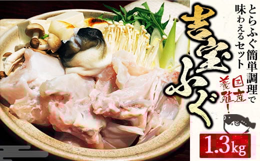 国産養殖！とらふぐ簡単調理で味わえるセット 吉宝ふぐ 1.3kg ふぐ 河豚 フグ とらふぐ トラフグ 簡単調理 刺身 鍋 から揚げ ひれ酒 出汁 3～4人前 熊本県 上天草市 【2025年10月下旬から2026年4月上旬発送開始】