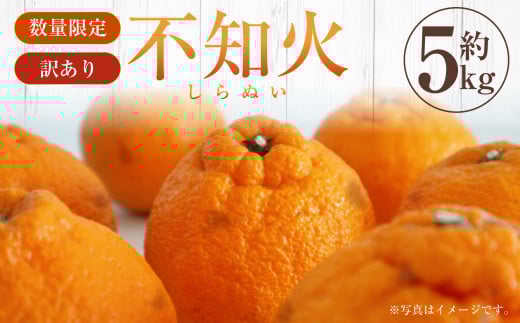 【訳あり】不知火 約5kg