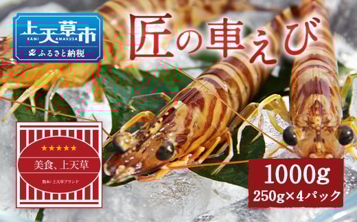 【上天草ブランド認証品】 匠の車えび【活き締め急速冷凍】250g×4パック(28尾～40尾)