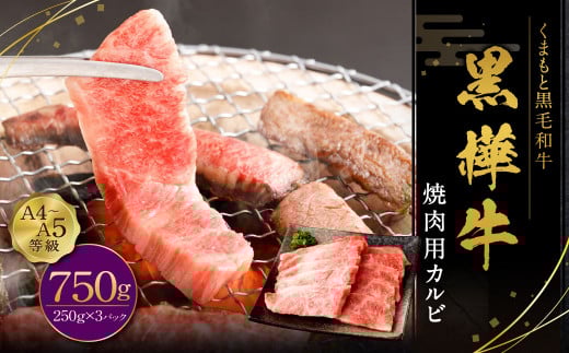 黒樺牛 焼肉用カルビ 750g（250g×3パック）