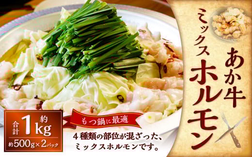 熊本和牛あか牛ホルモン約1kg（約500g×2） あか牛 ホルモン 4種類 肉 お肉 牛肉 褐牛 褐毛和種 和牛 国産牛 小腸 大腸 アカセンマイ センマイ 熊本県 上天草市 冷凍