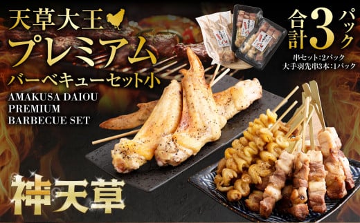 天草大王プレミアムバーべキューセット(小)