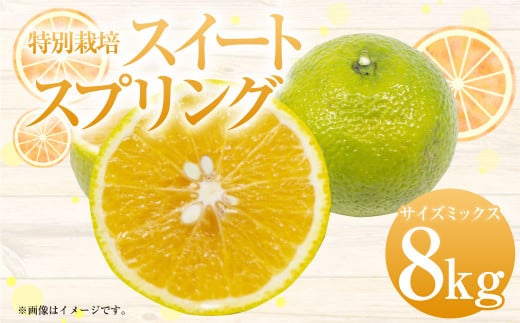 特別栽培スイートスプリング 8kg サイズミックス