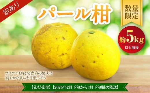 パール柑 約5kg 訳あり