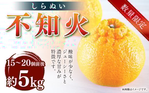 不知火 約5kg