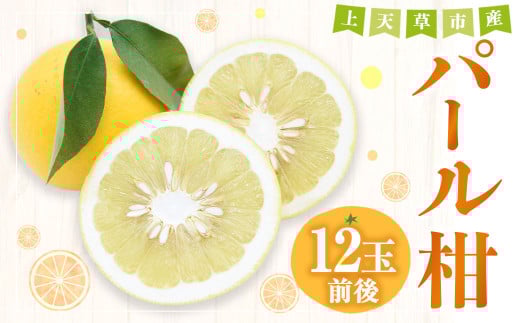 上天草市産 パール柑