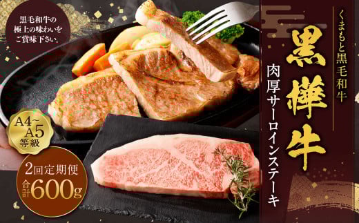 【定期便】黒樺牛 【2回定期便】肉厚サーロインステーキ 約300g 合計約600g