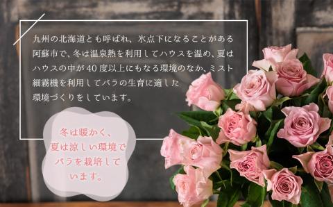 バラの花束（ピンクパープル系） 10本 生花 綺麗 花束 贈り物 インテリア 母の日 父の日 贈り物 ギフト プレゼント 贈答用 熊本 阿蘇