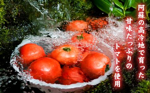 阿蘇とまとのチキンカレー 5個 レトルトカレー トマト カレー スパイシー 簡単 調理 本格 人気 温めるだけ チキンカレー 御中元 御歳暮 贈答用 ギフト 熊本県 阿蘇市