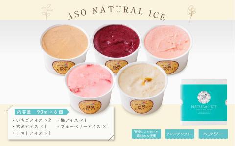 阿蘇天然アイス 極みシリーズ 6個 セット ジェラート グランプリ 受賞 詰め合わせ 食べ比べ バラエティ 素材 こだわり 人気 涼しい 冷たい 冷凍 さっぱり 美味しい 贅沢 果物 フルーツ おやつ 夏 お中元 お歳暮 熊本県 阿蘇市