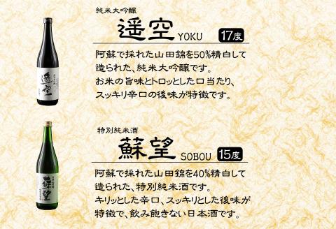 日本酒 「蘇望」「遥空」 2種セット ふるさと納税 スッキリ 辛口 人気 美味しい お酒 日本酒 酒 詰め合わせ 飲み比べ 2本 熊本 阿蘇
