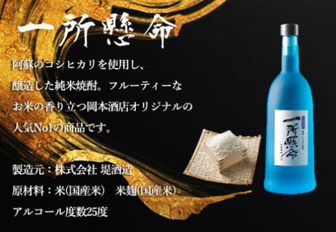 岡本酒店 焼酎飲み比べセット 一所懸命 説法焼酎 ふるさと納税 人気 美味しい お酒 焼酎 酒 詰め合わせ 飲み比べ 熊本 阿蘇