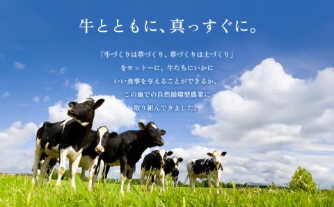 牧場の風を感じる 阿部牧場乳製品色々セット 牧場 牛乳 ミルク ヨーグルト 搾りたて 三ツ星 チーズ 詰め合わせ 人気 美味しい 濃厚 こだわり おつまみ 熊本 阿蘇