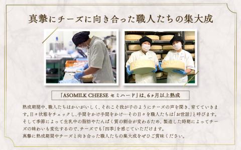 ASOMILK CHEESE セミハードホール 約10kg 阿部牧場 チーズ 希少 熟成 こだわり 人気 豪華 贅沢 乳製品 ASOMILK 牛乳 ミルク 熊本 阿蘇