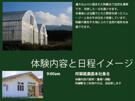 阿蘇蔵農園 阿蘇のカルデラで農業体験＆お散歩 野菜スムージー・お弁当あり 体験 自然 農業 野菜 スムージー お弁当 熊本 阿蘇