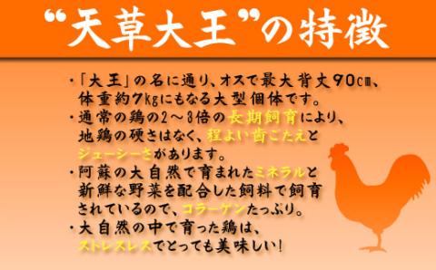 【ANA限定】阿蘇で復活した希少な天草大王と美味しい調味料セット ANAオリジナル 天草大王 地鶏 肉 鶏肉 柚子こしょう マスタード 人気 希少 限定 セット 詰め合わせ 熊本 阿蘇