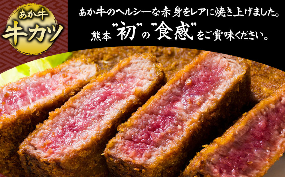 あか牛のヘルシーな赤身 牛カツ （専用醤油付き） 100g×4 あか牛 和牛 肉 ブランド牛 牛肉 人気 美味しい 赤身 特製だし醤油 醤油 タレ 人気 熊本 阿蘇