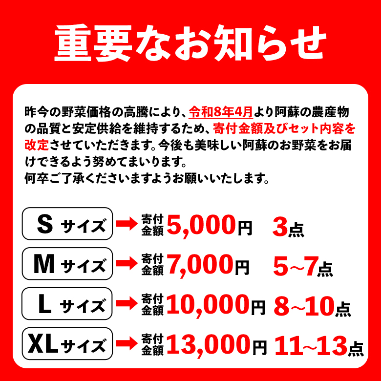 【選べる内容量】季節の お野菜 セット XLサイズ（10～12品） 詰め合わせ たっぷり 大容量 やさい 果物 新鮮 減農薬 高原 旬 産地直送 採れたて 朝採れ みずみずしい 甘い 美味しい 人気 安心 安全 おすすめ お中元 御歳暮 熊本県 阿蘇市 XLサイズ（10～12品）