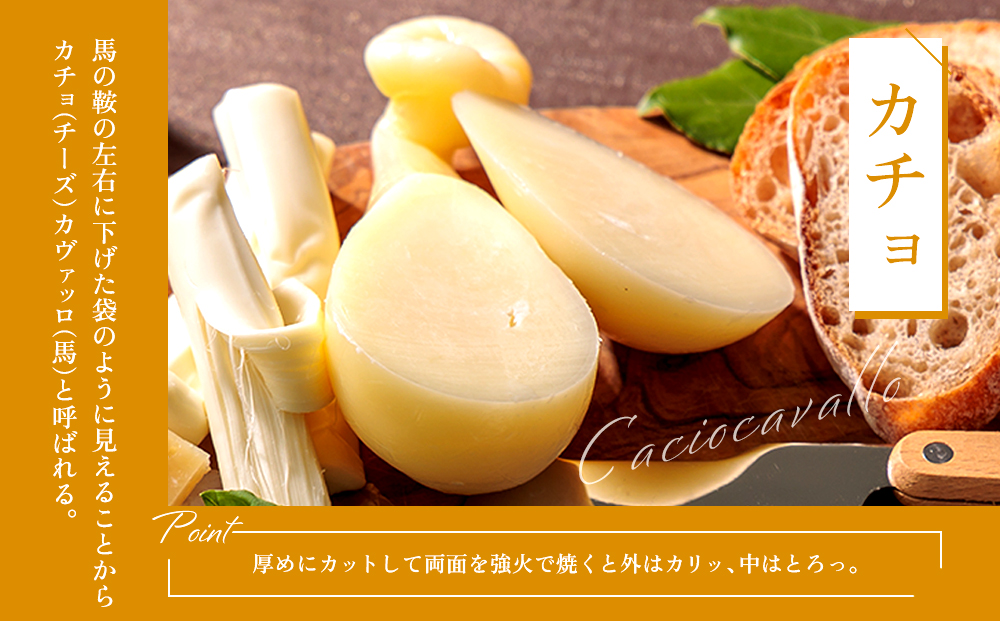 牧場の風を感じる 阿部牧場しぼりたて牛乳でつくる出来立てチーズセット 阿部牧場 チーズ 乳製品 詰め合わせ 4種類 人気 美味しい 濃厚 こだわり 食べ比べ バラエティ 熊本 阿蘇