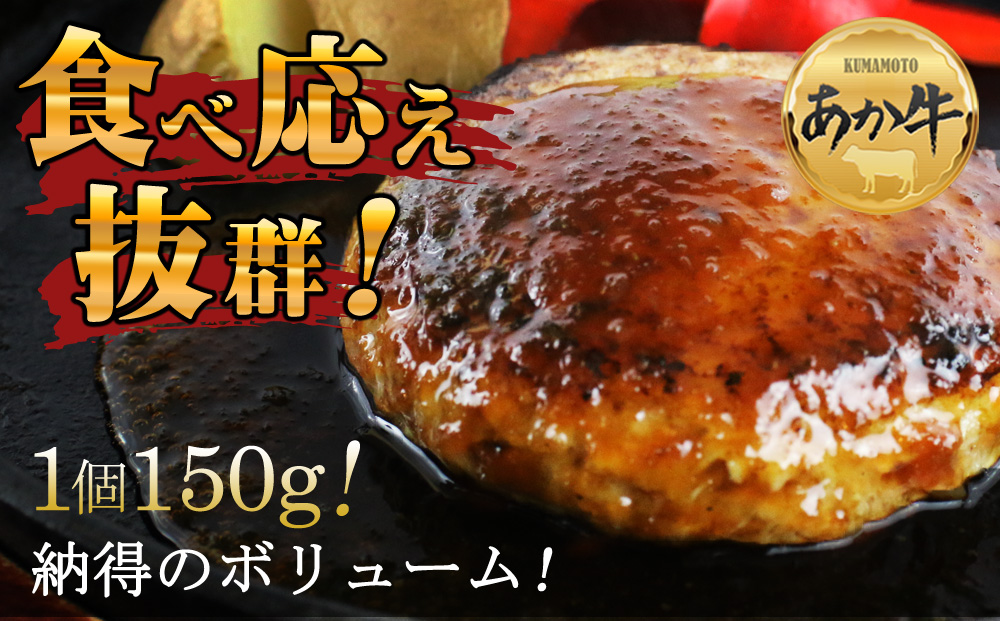 【定期便 全3回】 肥後の赤牛ハンバーグ150g×10個 阿蘇牧場 あか牛 和牛 肉 定期便 国産 牛肉 ブランド牛 人気 美味しい 焼肉 希少 ハンバーグ ジューシー 熊本 阿蘇