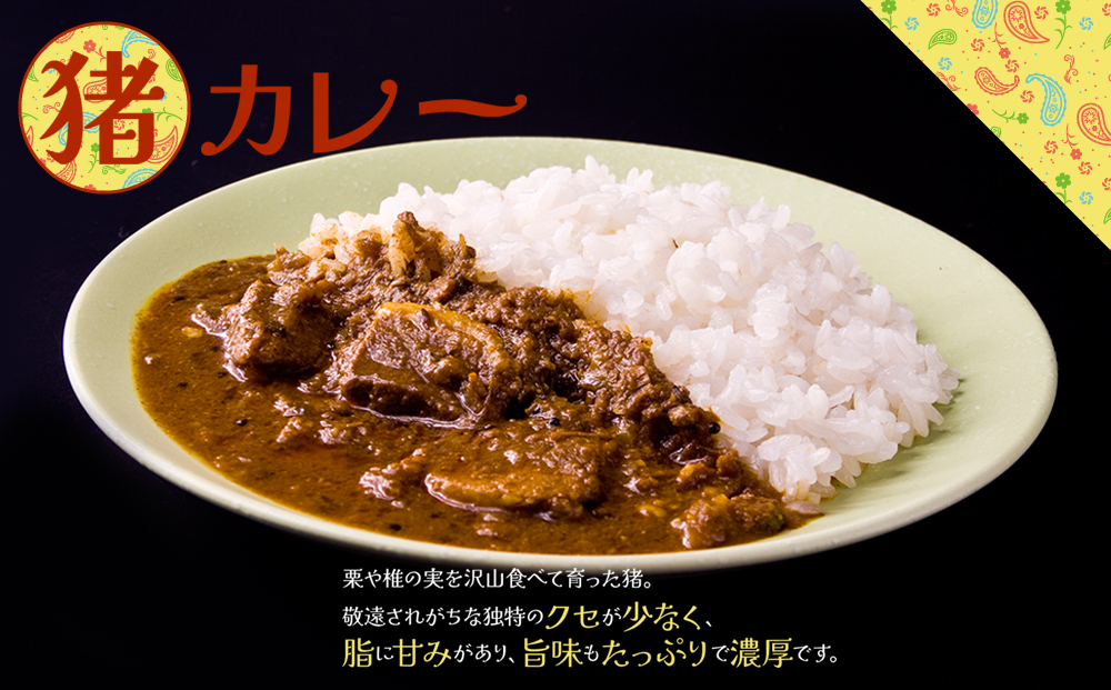”ジビエカレー専門店”が作るカレーとやみつき！スパイスセット カレー ジビエ 猪 鹿 スパイス 食べ比べ 詰め合わせ レトルトカレー オリジナルスパイス 人気 美味しい 熊本 阿蘇