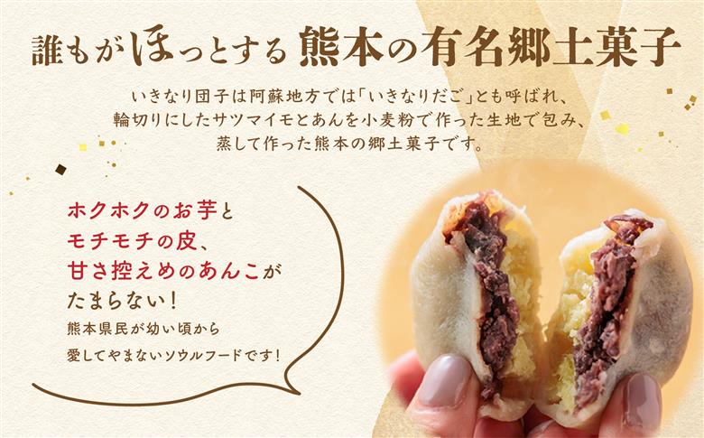 熊本郷土スイーツ「いきなりだんご」食べ比べセット  冷凍 保存可 郷土菓子 スイーツ お菓子 人気 美味しい  セット 詰め合わせ 熊本 阿蘇