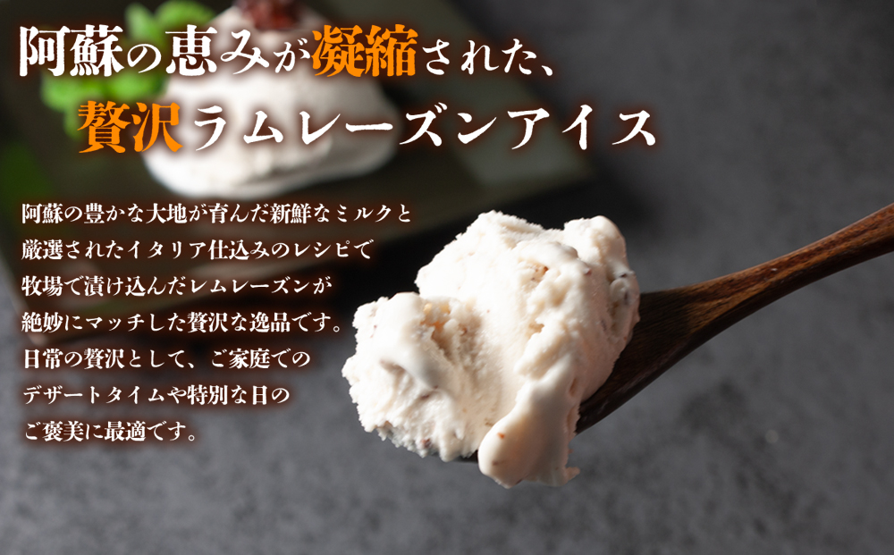【選べる内容量】阿蘇ミルクアイス ラムレーズン 【2Ｌ】 阿部牧場 ASOMILK 大容量 たっぷり 人気 大人 こだわり 涼しい 冷たい 冷凍 美味しい 濃厚 贅沢 おやつ スイーツ デザート 夏 お中元 お歳暮 熊本県  阿蘇市 2L