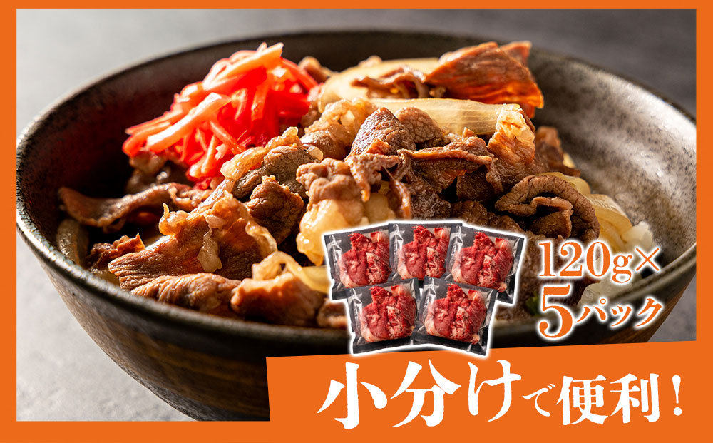 あか牛切り落とし 小分けでお届け（120g×5パック（真空包装）） 計600g あか牛 切り落とし 牛肉 肉 お肉 精肉 冷凍 小分け 便利 おすすめ 料理 自宅用 贈答用 お中元 お歳暮 ギフト 熊本県 阿蘇市