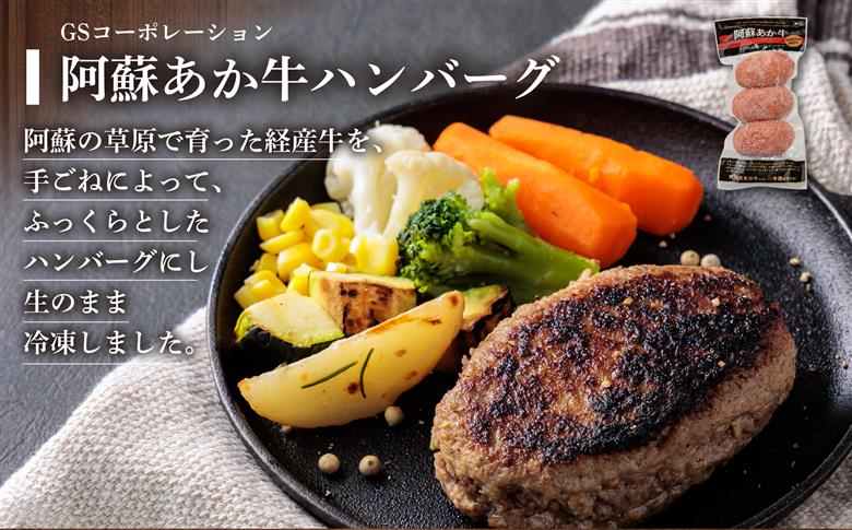 豪華5種類のあか牛のハンバーグ食べ比べセット （15個） あか牛 ブランド牛 和牛 牛肉 肉 ハンバーグ 5種 15個 食べ比べ 詰め合わせ 人気 美味しい 贅沢 豪華 熊本 阿蘇