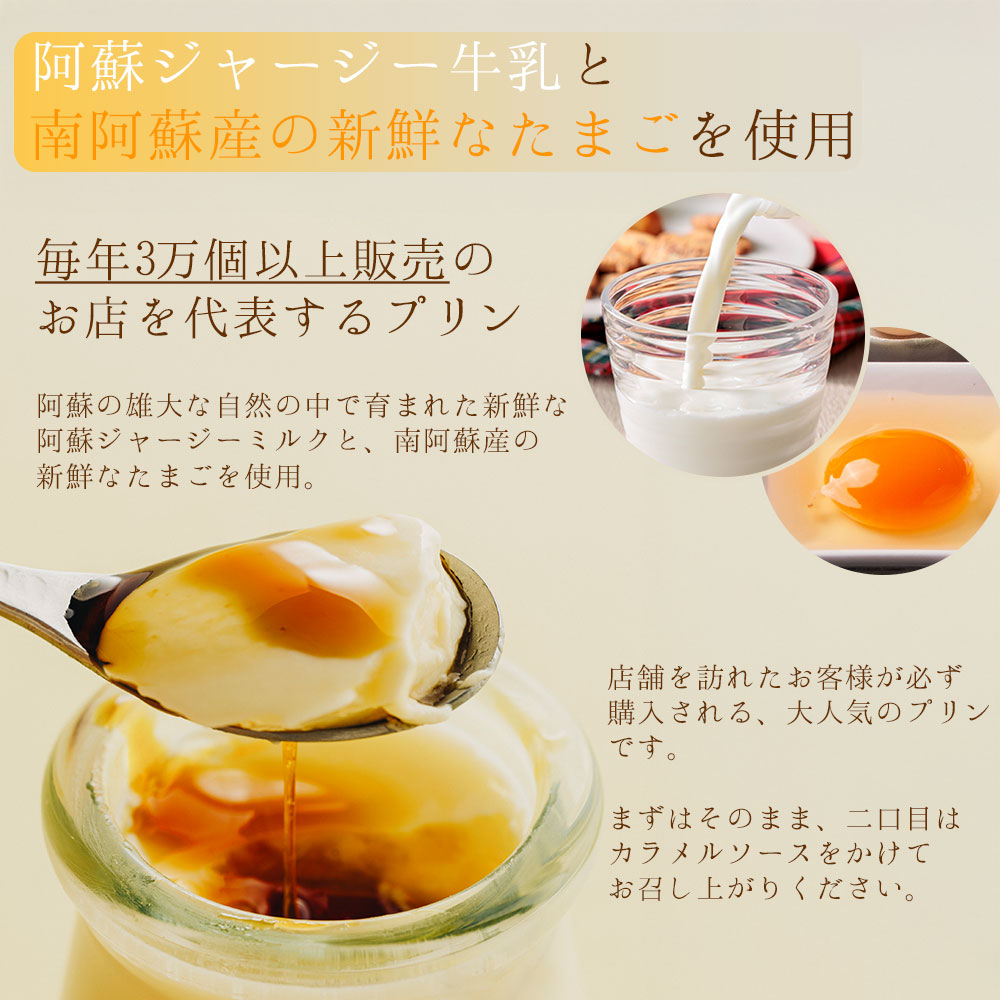 ギフトにもオススメ！ こだわりの濃厚プリン2種セット　計8個（各4個ずつ） 人気老舗店 プリン チョコレートプリン ミルクプリン セット 冷蔵 スイーツ お菓子 ティータイム 濃厚 美味しい おやつ ジャージー牛乳 ジャージー牛乳使用 チョコ好き ギフト おすすめ 人気 手土産 お土産 お取り寄せ 贈り物 熊本県 阿蘇市