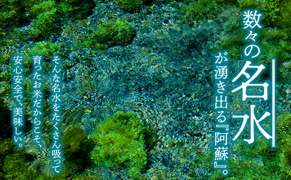 令和7年産 新米 コシヒカリ 5kg 白米 水穂やまだ グランプリ獲得 R7年 お米 人気 美味しい  弾力 粘り 食感 湧水 ごはん 熊本県 阿蘇市