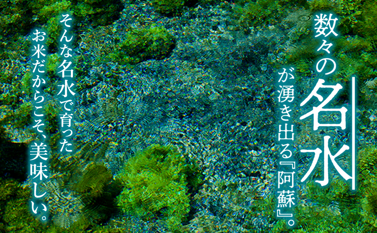 令和7年産 新米 森のくまさん 5kg 白米 水穂やまだ グランプリ獲得 R7年 お米 人気 美味しい  弾力 粘り 食感 湧水 ごはん 熊本県 阿蘇