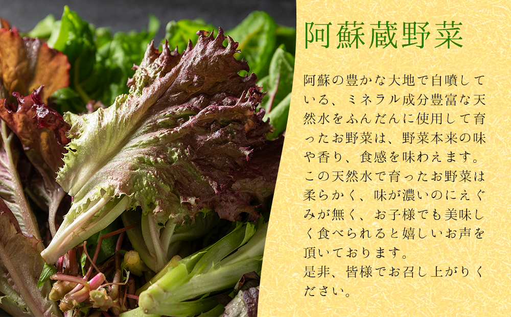 阿蘇を感じる阿蘇蔵サラダ野菜の朝食セット 新鮮 旬 産地直送 採れたて 人気 美味しい 熊本 阿蘇