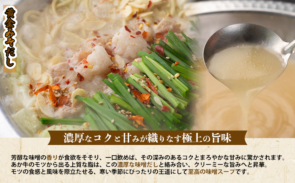 【選べるスープ】阿蘇はなびし あか牛もつ鍋セット（みそ） 冷凍 鍋 味噌味 牛肉 もつ 冷凍 便利 料理 自宅用 贈答用 お中元 お歳暮 クリスマス ギフト 冬 おすすめ 熊本県 阿蘇市 あか牛もつ鍋（みそ）